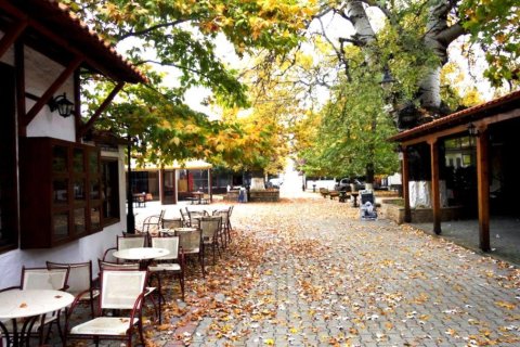 23750m² Land in Thessaloniki, Greece No. 59617 10