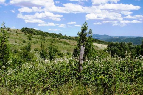 23750m² Land in Thessaloniki, Greece No. 59617 2