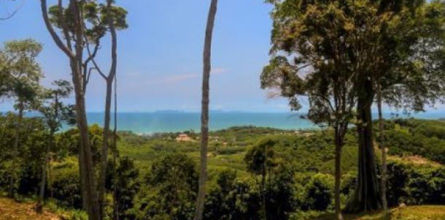 19200m² Land in Ko Lanta Yai, Thailand No. 96509