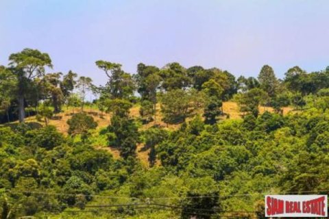 19200m² Land in Ko Lanta Yai, Thailand No. 96509 5