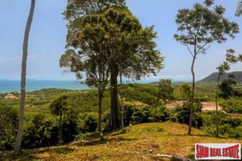 19200m² Land in Ko Lanta Yai, Thailand No. 96509 8