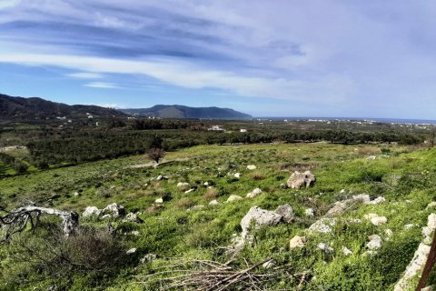 15503m² Land in Georgioupoli, Greece No. 56614 4