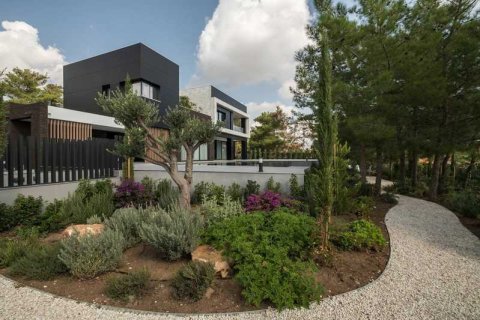 Вилла с 7 спальнями в Суни-Занакья, Кипр №74364 3