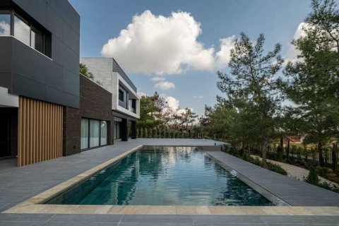 Вилла с 7 спальнями в Суни-Занакья, Кипр №74364 2