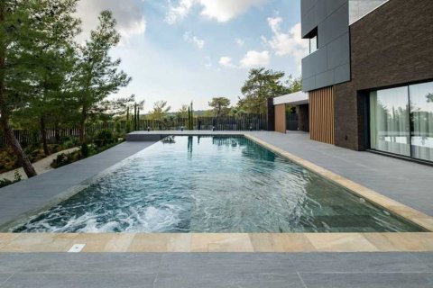 Вилла с 7 спальнями в Суни-Занакья, Кипр №74364 7