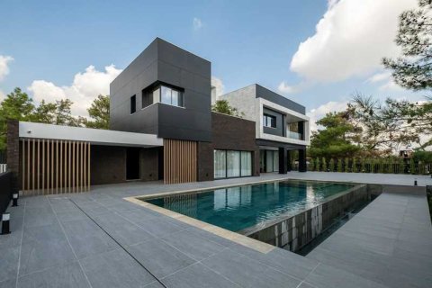 Вилла с 7 спальнями в Суни-Занакья, Кипр №74364 1