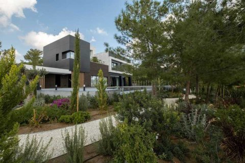 Вилла с 7 спальнями в Суни-Занакья, Кипр №74364 9