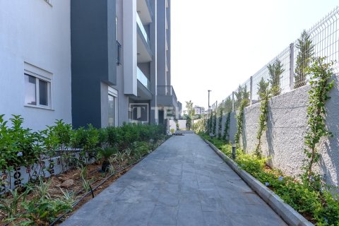 2 bedrooms Apartment in Luong Hoa, Vietnam No. 78881 7