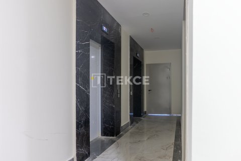 2 bedrooms Apartment in Luong Hoa, Vietnam No. 78881 11