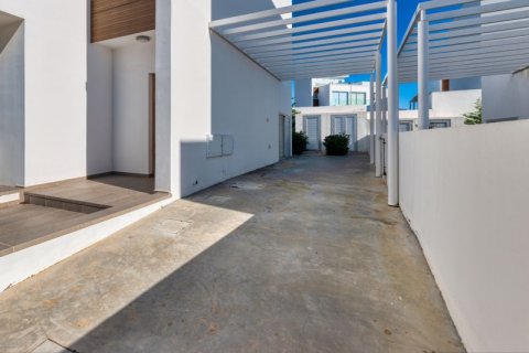 Вилла с 3 спальнями в Айя Напа, Кипр №36718 30