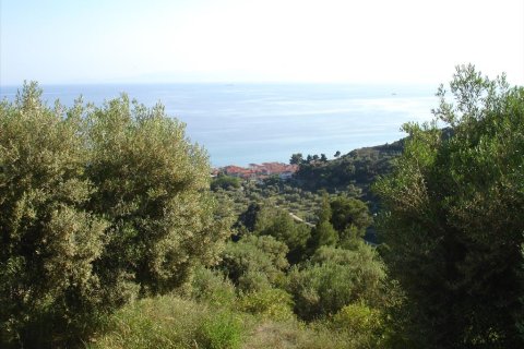 4465m² Land à Chalkidiki, Greece No. 122846 7