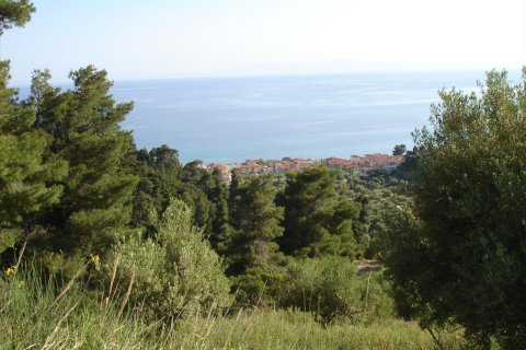 4465m² Land à Chalkidiki, Greece No. 122846 6
