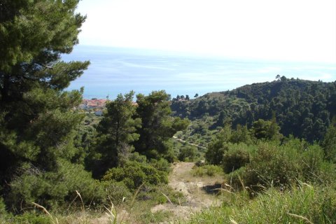4465m² Land à Chalkidiki, Greece No. 122846 1