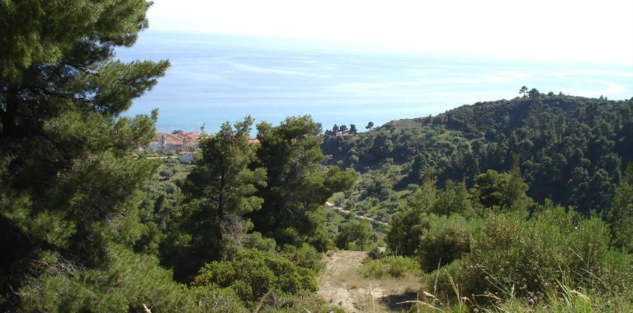 4465m² Land à Chalkidiki, Greece No. 122846