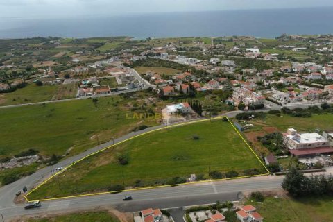 Commercial property à Pegeia, Cyprus No. 104274 1