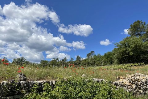 244m² House à Cotignac, France No. 68111 6