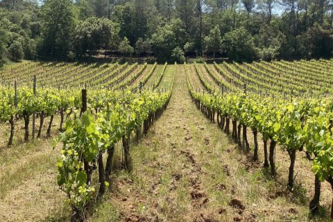 244m² House à Cotignac, France No. 68111 3