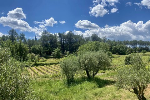 244m² House à Cotignac, France No. 68111 4