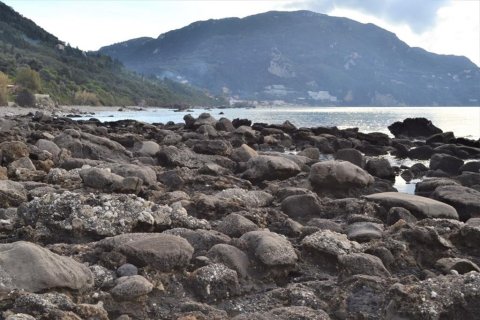 10959m² Land in Corfu, Greece No. 108459 4