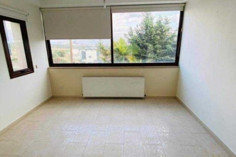 Дом с 4 спальнями в Ипсонас, Кипр №30746 9