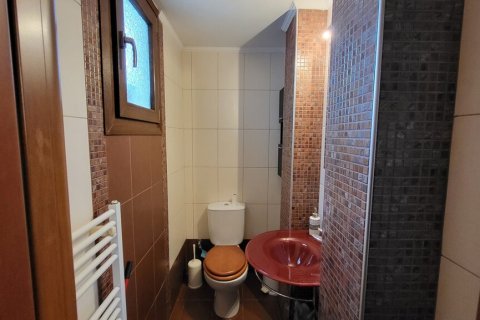 Дом с 3 спальнями в Халкидики, Греция №108158 16