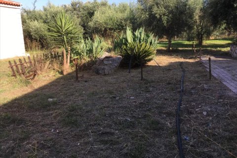 4 bedrooms House in Achaea, Greece No. 57845 14