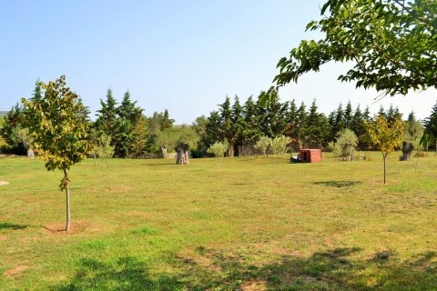 6 bedrooms Villa in Chalkidiki, Greece No. 58503 16