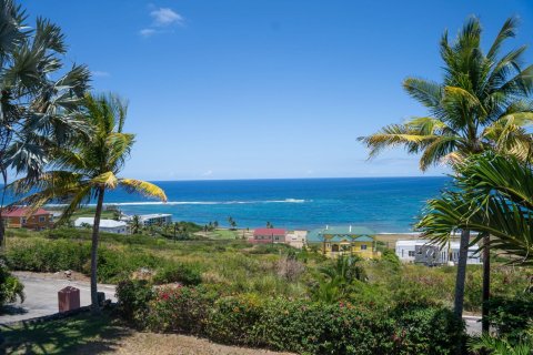 371.61m² Villa in Lucas, Saint Kitts and Nevis No. 61465 27
