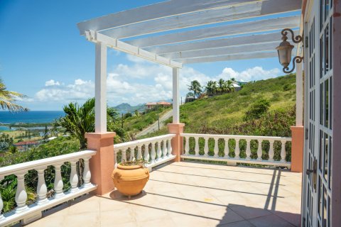 371.61m² Villa in Lucas, Saint Kitts and Nevis No. 61465 1