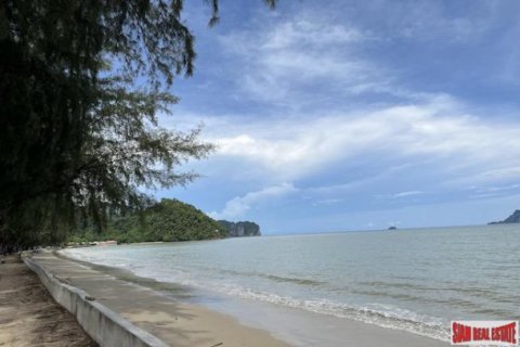 22000m² Land in Ao Nang, Thailand No. 96239 2
