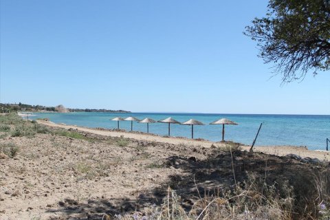 21200m² Land in Chalkidiki, Greece No. 109720 1