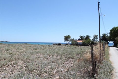 21200m² Land in Chalkidiki, Greece No. 109720 6