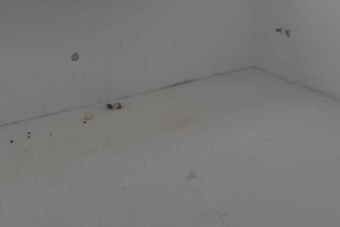 3 chambres Penthouse à Kato Polemidia, Cyprus No. 82842 7