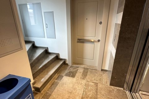 4 bedrooms Apartment in Tien Lang, Vietnam No. 20999 9