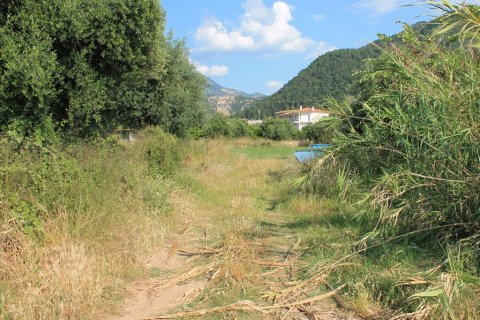 5800m² Land in Achaea, Greece No. 60292 4