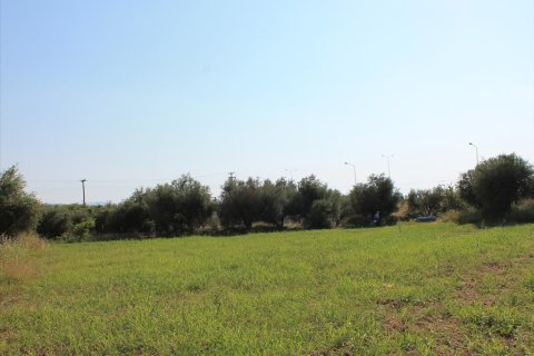 5800m² Land in Achaea, Greece No. 60292 3