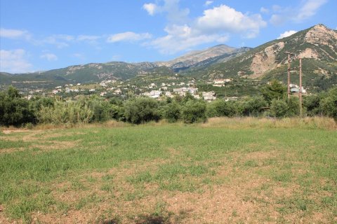 5800m² Land in Achaea, Greece No. 60292 1