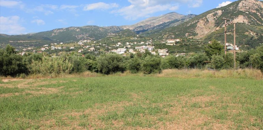 5800m² Land in Achaea, Greece No. 60292