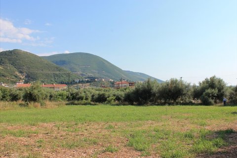 5800m² Land in Achaea, Greece No. 60292 2