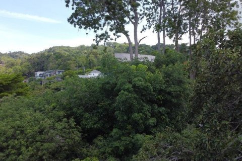 2888m² Land in Chalong, Thailand No. 95682 28