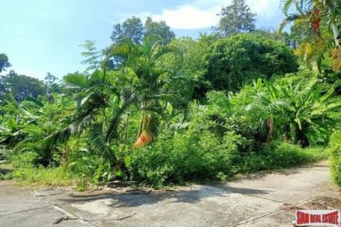 2888m² Land in Chalong, Thailand No. 95682 18