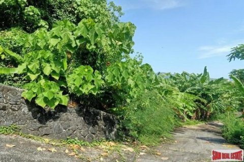 2888m² Land in Chalong, Thailand No. 95682 14