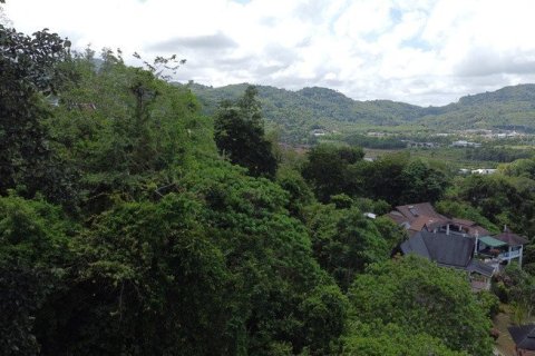 2888m² Land in Chalong, Thailand No. 95682 26