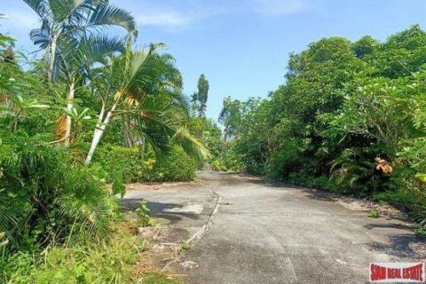 2888m² Land in Chalong, Thailand No. 95682 19