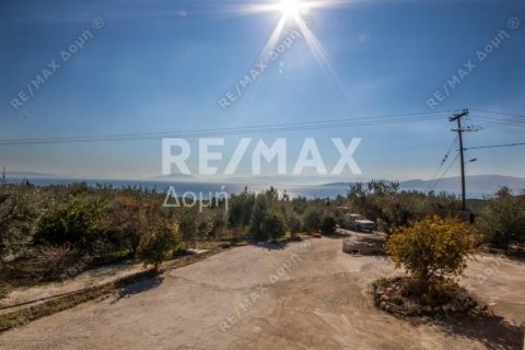 Дом с 3 спальнями в Магнисия, Греция №104642 21