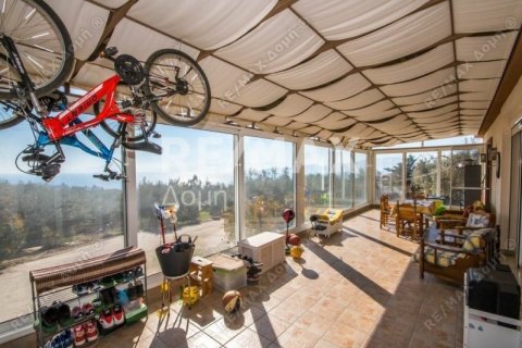 Дом с 3 спальнями в Магнисия, Греция №104642 20