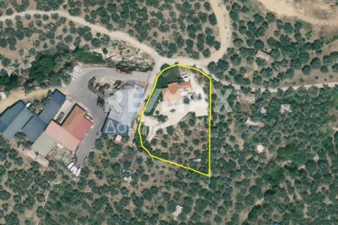 Дом с 3 спальнями в Магнисия, Греция №104642 8