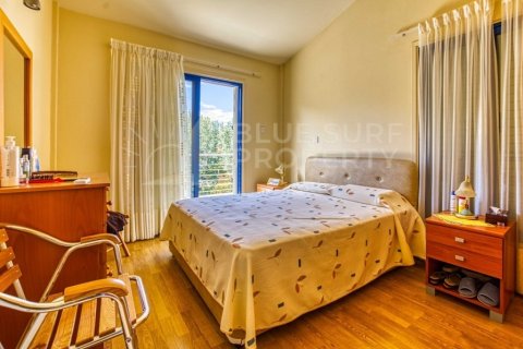 6 bedrooms Villa in Protaras, Cyprus No. 36553 10