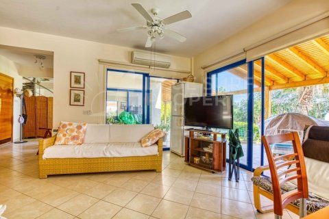 6 bedrooms Villa in Protaras, Cyprus No. 36553 5