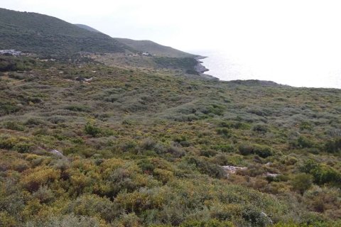 Land in Zakynthos, Greece No. 28087 10